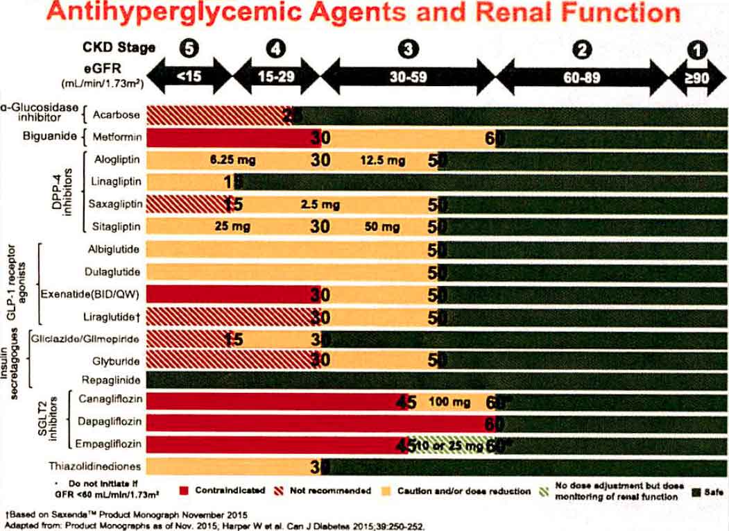 Diabetes Medications And Renal Function