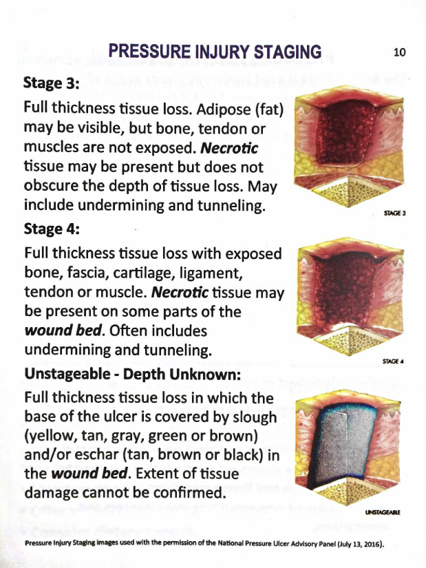 Wound Management Quick Reference Pocket Guide